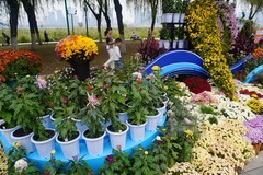 武汉市第42 届金秋菊展4