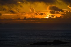 外出随拍（574）.