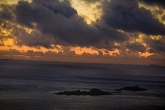 外出随拍（574）.