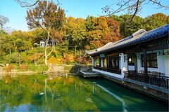 2025年第0876贴-无锡鼋头渚公园旅拍（1219）