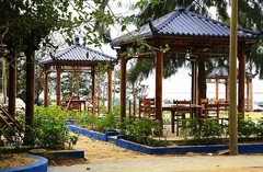 1093【不老松：二游海南纪实】临高长島兰湾的邻村龙豪村2019年宣布脱贫！这是脱贫之后