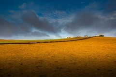 新疆喀拉峻草原 2