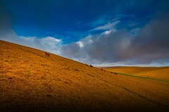 新疆喀拉峻草原 3