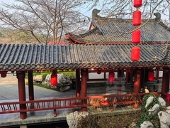曲院樱艳3*东湖樱园——武汉随笔