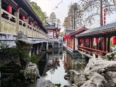曲院樱艳3*东湖樱园——武汉随笔