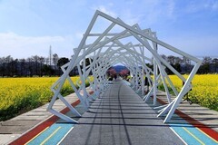 郭溪任桥村油菜花 (2)