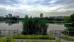阴天的汀棠公园