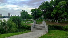 阴天的汀棠公园