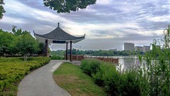 阴天的汀棠公园