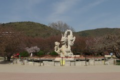 滨城游拍——龙王塘樱花园（2026）