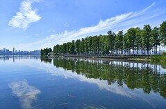 楚天台上看东湖