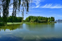楚天台上看东湖