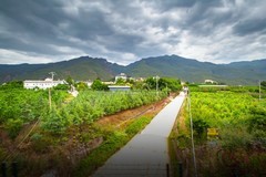 香格里拉到西双版纳沿途风景57