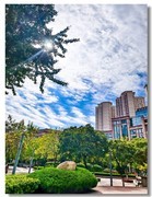 2025国庆手机随拍（二十一）