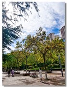 2025国庆手机随拍（二十一）