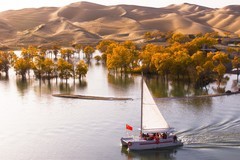 外出随拍（716）.