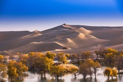 外出随拍（716）.