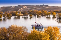 外出随拍（716）.