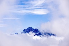 外出随拍（883）.