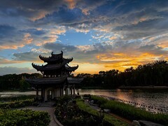 2026年- 陶然亭风光纪实-0424