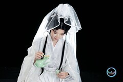 【一袭素纱·独酌人间月】---婷儿