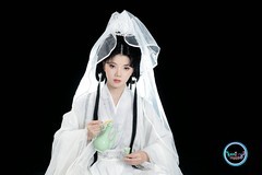 【一袭素纱·独酌人间月】---婷儿