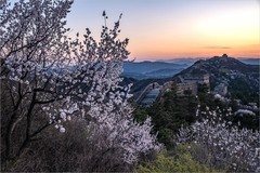 2026年- 金山岭长城纪实抓拍-0639
