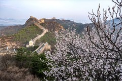 2026年- 金山岭长城纪实抓拍-0639