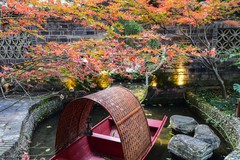 成都人民公园 2-1