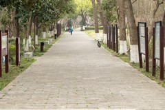 庐州印象（632）幸福平安