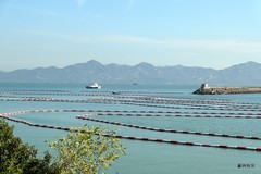 招商蛇口，海上世界艺术中心