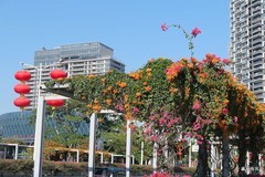 招商蛇口，海上世界艺术中心