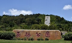 2026小城的夏（贰）