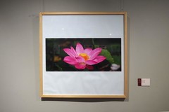 《清风廉韵·廉洁文化作品展》下