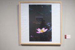 《清风廉韵·廉洁文化作品展》下