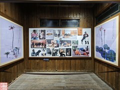 2025.3.17凤凰古城观黄永玉老师的作品（2）