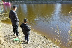 初冬的青年湖（续）