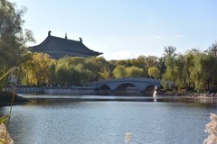 初冬的青年湖（续）