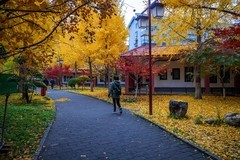 色彩斑斓的深秋—(续)