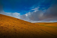 新疆喀拉峻草原 5