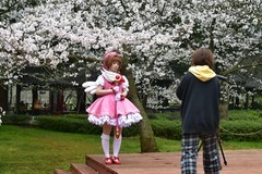 樱园连逢阴雨天