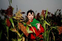 环境人像---高粱红了！