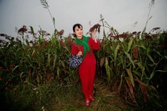 环境人像---高粱红了！