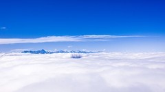 外出随拍（887）.