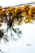 南疆行——尉犁葫芦岛的风景（21）