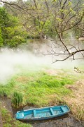 国家植物园水杉林雾化喷泉之一