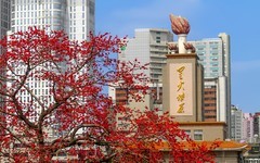 [26092] 农讲所的红棉