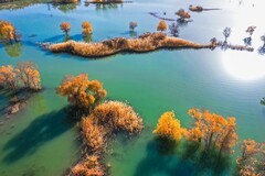 外出随拍（717）.