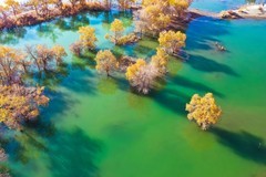 外出随拍（717）.