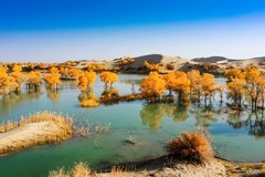 外出随拍（717）.